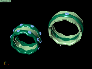 set ring11 3D-Druckmodell