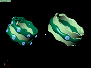 set ring11 3D-Druckmodell