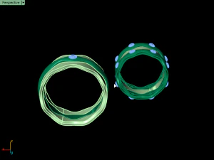 set ring11 3D Print Model