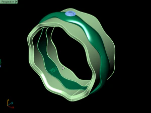 set ring11 3D Print Model