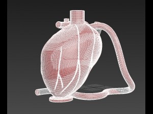 heart 3D 打印模型