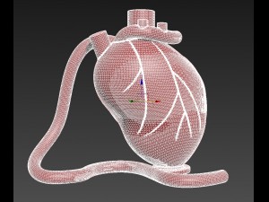 heart 3D 打印模型