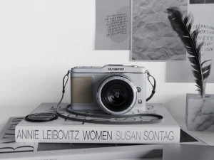 직장 컬렉션 1 3D 모델