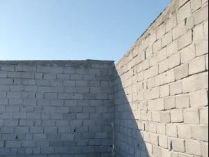 Skanowanie 3D ściany faceta Model 3D