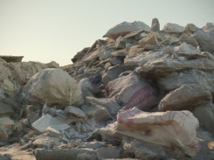 waste products 3D Model