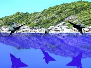 flight of fighters 3D 모델