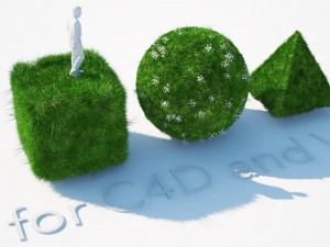 grass kit iii for c4d and vray 3 Modelo 3D