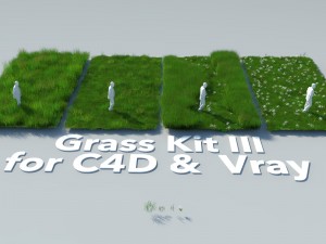 grass kit iii for c4d and vray 3 Modelo 3D