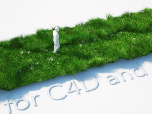 grass kit iii for c4d and vray 3 Modelo 3D