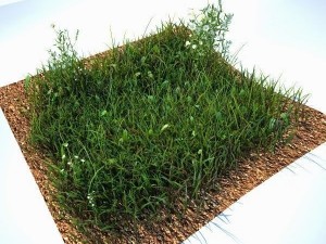 grass kit v2 for cinema 4d and vray -- free 3D Model