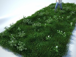 grass kit v2 for cinema 4d and vray -- free Modello 3D