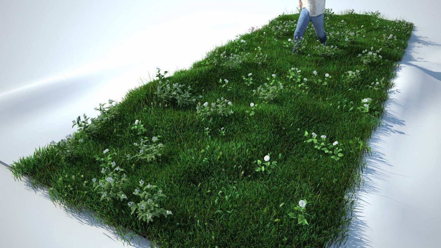 Grass Kit V2 For Cinema 4d And Vray Free Free 3d Model In