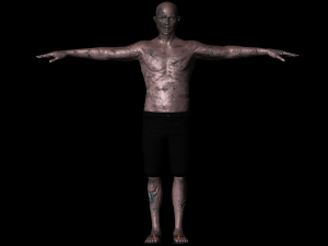 zombee 3D 모델