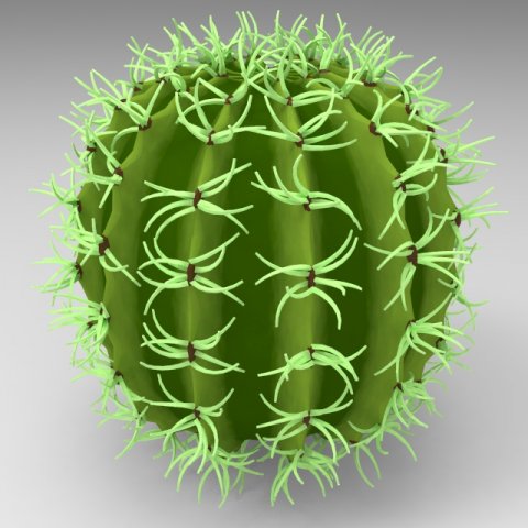 cactus Model 3D .c4d .max .obj .3ds .fbx .stl .blend 