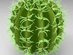 कैक्टस 3D मॉडल