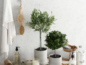 decor 3D Model