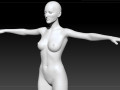 Women 3D Model