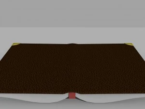 book 3D Model