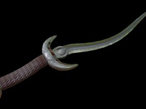 dagger curved 3D Model