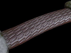 dagger curved 3Dモデル