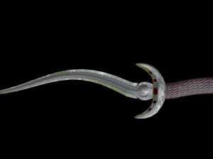 dagger curved 3D Model