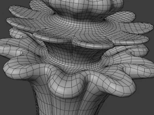 stoviglie Modello 3D