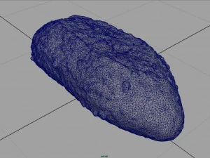 bread 3D Model