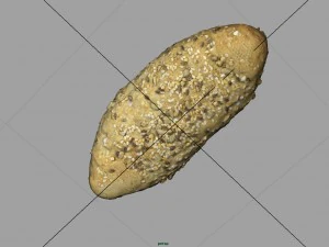 bread 3D Model