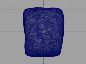 pane ai cereali Modello 3D