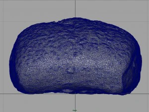 pane ai cereali Modello 3D