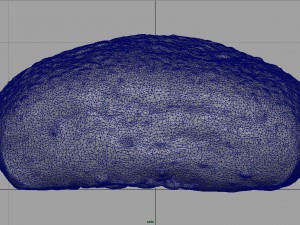 cereal bread 3D Модель