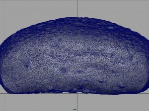 pane ai cereali Modello 3D