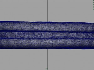 chocolate biscuit 3D Model