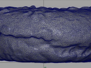 chocolate donuts 3D-Modell