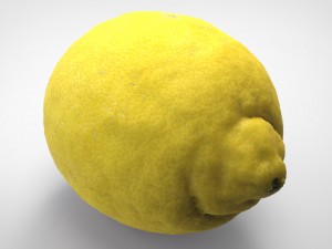 realistic lemon 3D 模型