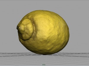 realistic lemon 3D 模型