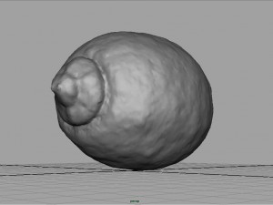 realistic lemon 3D 模型