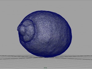 realistic lemon 3D 模型