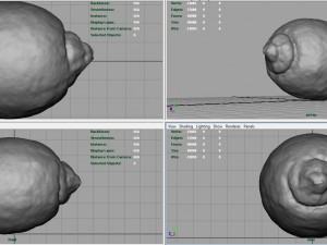 realistic lemon 3D 模型