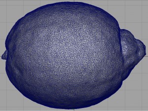 realistic lemon 3D 模型