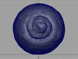 realistic lemon 3D 模型