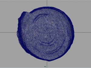 roll cake Modello 3D