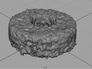 pineapple cheese 3D Model