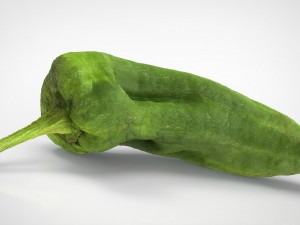 realistic pepper 3D-Modell