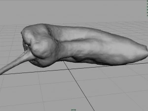 यथार्थवादी काली मिर्च 3D मॉडल