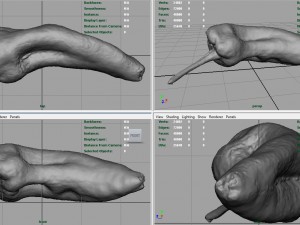 realistic pepper 3D-Modell