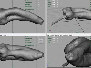 यथार्थवादी काली मिर्च 3D मॉडल