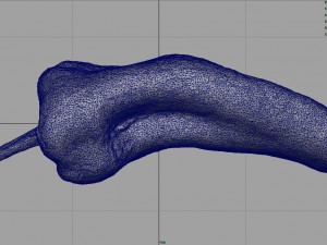 realistic pepper 3D-Modell