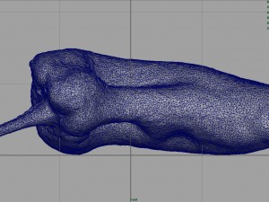 realistic pepper 3D-Modell