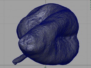 realistic pepper 3D-Modell